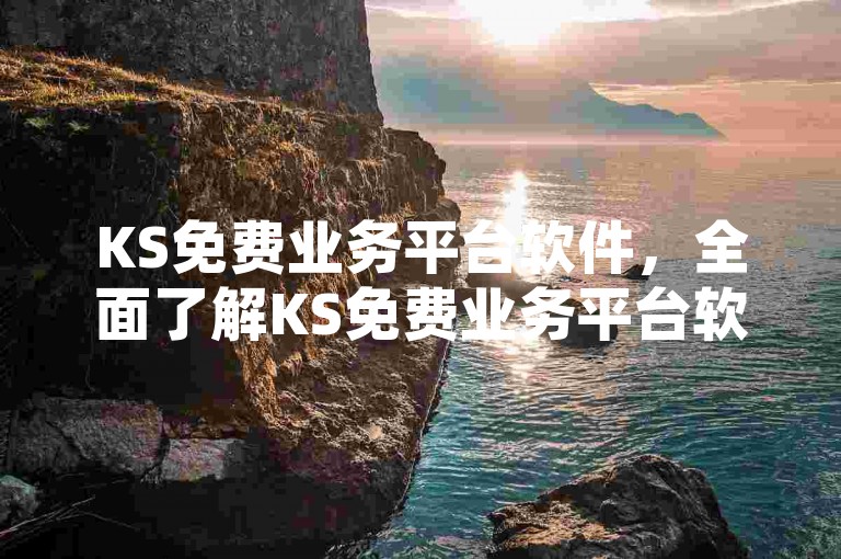 KS免费业务平台软件，全面了解KS免费业务平台软件的各项功能与优势。