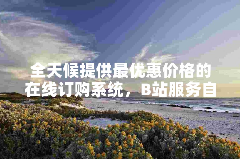 全天候提供最优惠价格的在线订购系统，B站服务自助下单平台。
