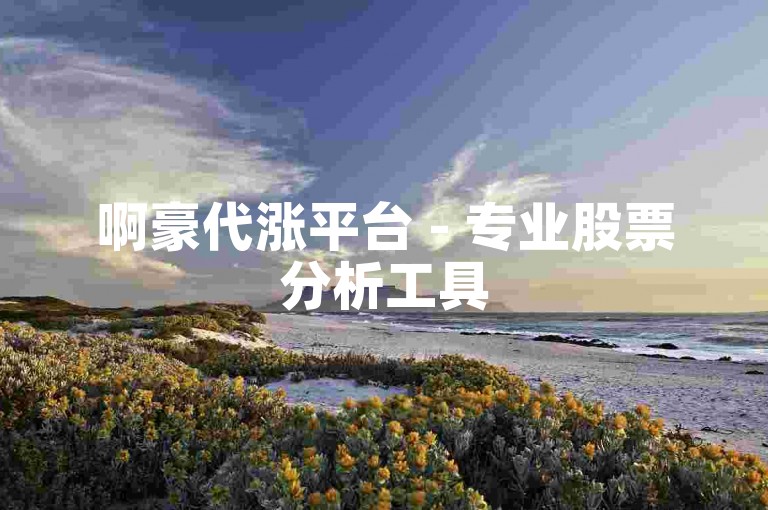 啊豪代涨平台 - 专业股票分析工具