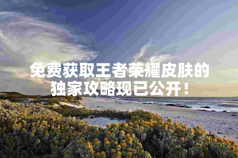 免费获取王者荣耀皮肤的独家攻略现已公开！