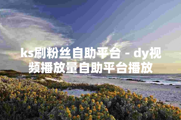 ks刷粉丝自助平台 - dy视频播放量自助平台播放