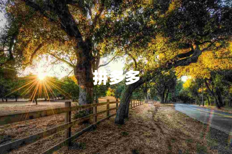 拼多多500元互助群的出现，既展现了网络互助模式的潜力与活力，也暴露出其在发展过程中可能面临的诸多挑战。