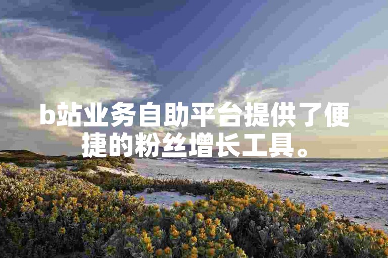b站业务自助平台提供了便捷的粉丝增长工具。
