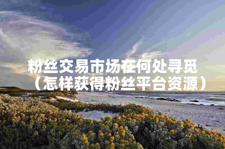粉丝交易市场在何处寻觅（怎样获得粉丝平台资源）？