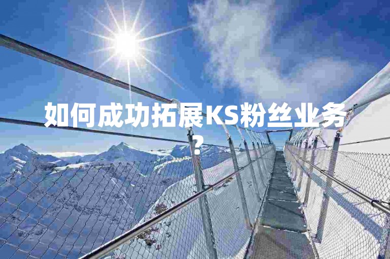 如何成功拓展KS粉丝业务？