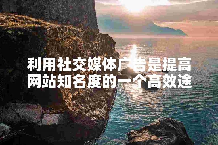 利用社交媒体广告是提高网站知名度的一个高效途径。