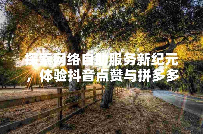 探索网络自助服务新纪元，体验抖音点赞与拼多多下单的即时便捷，尽在24小时不打烊的智能平台。