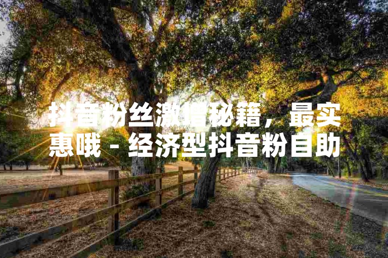 抖音粉丝激增秘籍，最实惠哦 - 经济型抖音粉自助购买平台真实用户。