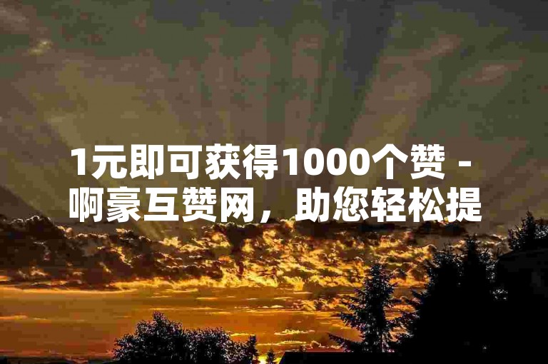 1元即可获得1000个赞 - 啊豪互赞网，助您轻松提升人气。