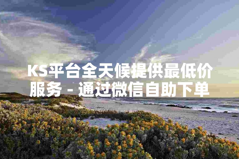 KS平台全天候提供最低价服务 - 通过微信自助下单ks赞，享受便捷体验。