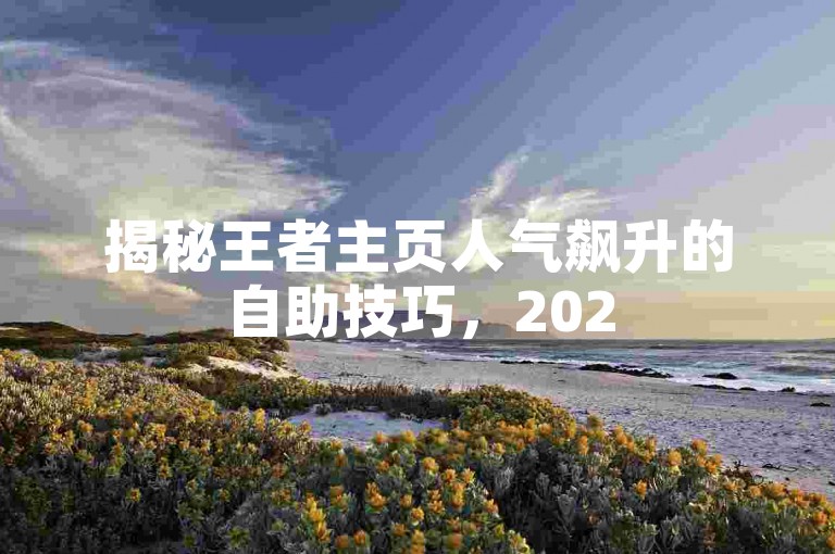 揭秘王者主页人气飙升的自助技巧，2025年必备攻略，助你打造热门王者主页！