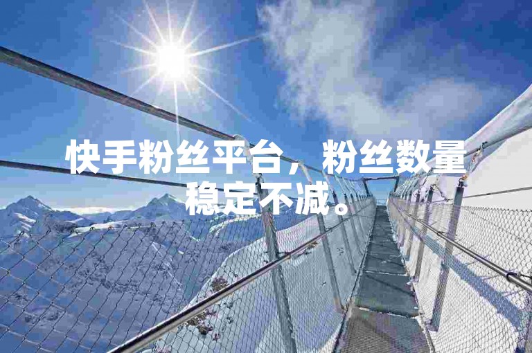 快手粉丝平台，粉丝数量稳定不减。