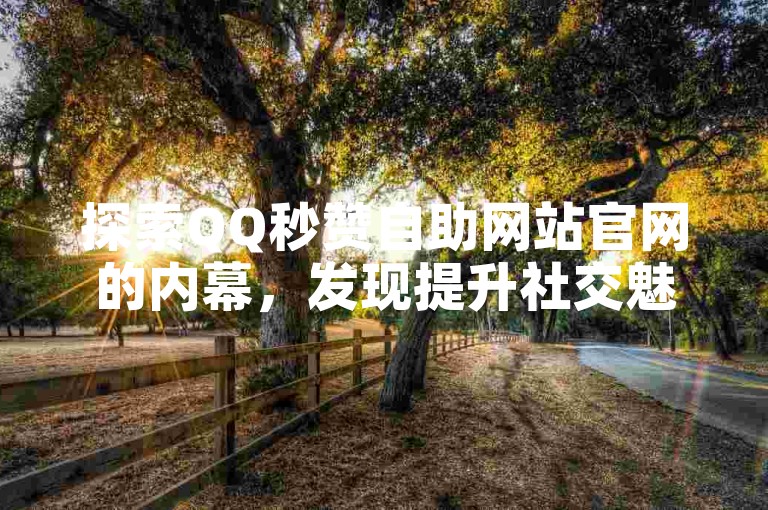 探索QQ秒赞自助网站官网的内幕，发现提升社交魅力的秘密武器-2025年必备技巧！