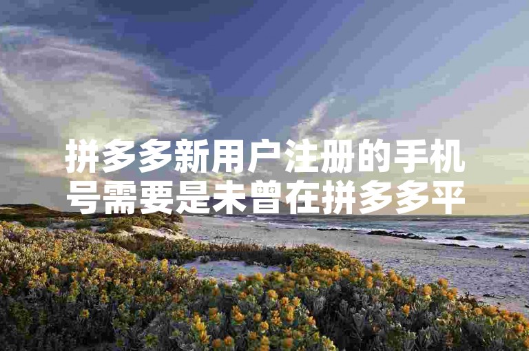 拼多多新用户注册的手机号需要是未曾在拼多多平台注册过的，以确保能够享受新人专享优惠。