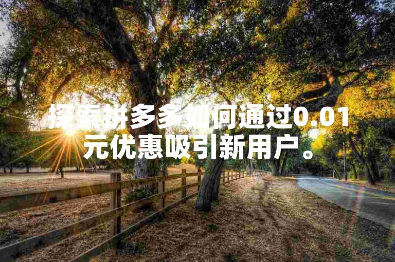 探索拼多多如何通过0.01元优惠吸引新用户。
