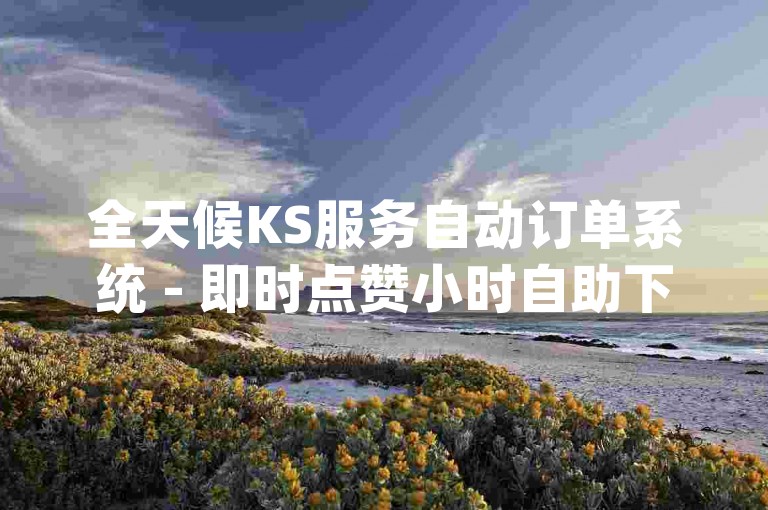 全天候KS服务自动订单系统 - 即时点赞小时自助下单平台dy