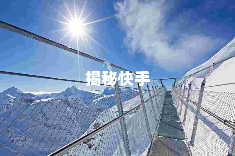 揭秘快手500赞软件下载，一分钟轻松获得500赞，2025年必备技巧！