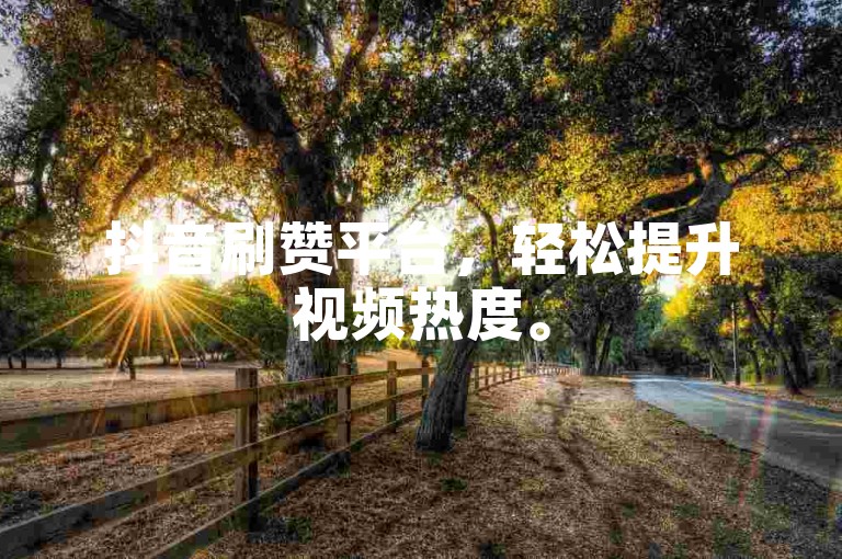抖音刷赞平台，轻松提升视频热度。