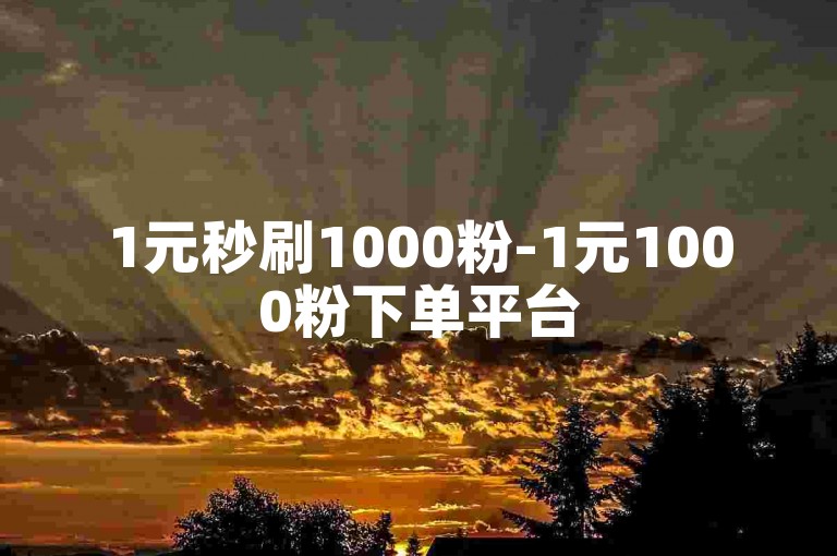 1元秒刷1000粉-1元1000粉下单平台