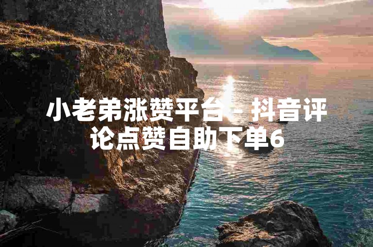小老弟涨赞平台 - 抖音评论点赞自助下单6