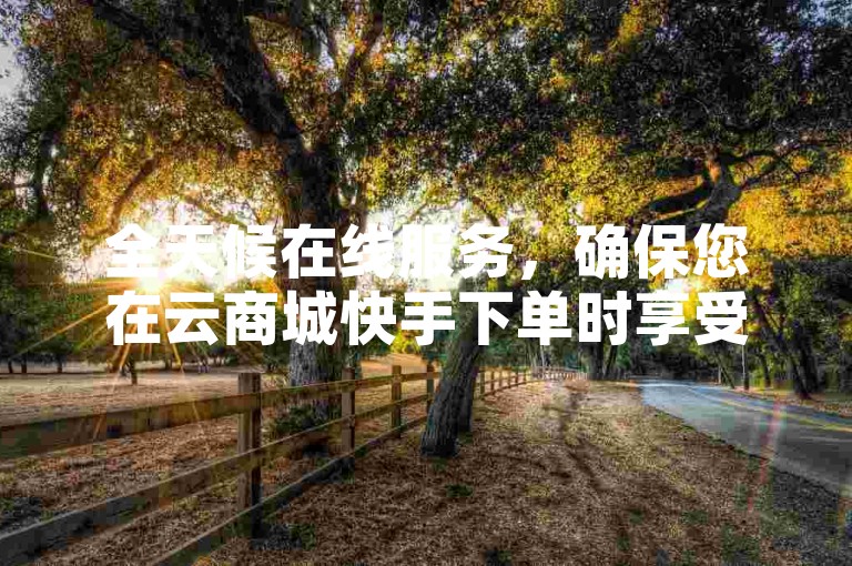 全天候在线服务，确保您在云商城快手下单时享受最低价格。