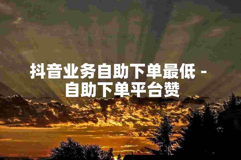抖音业务自助下单最低 - 自助下单平台赞