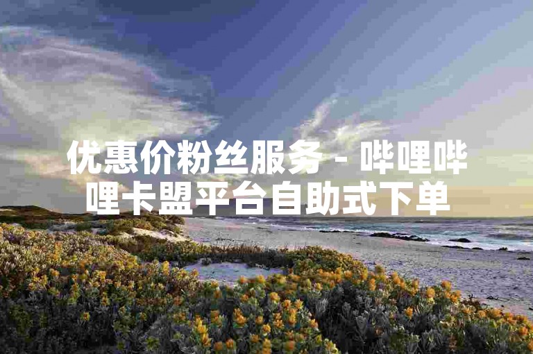 优惠价粉丝服务 - 哔哩哔哩卡盟平台自助式下单