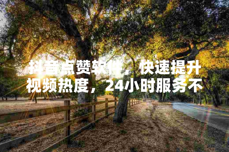 抖音点赞软件，快速提升视频热度，24小时服务不间断。