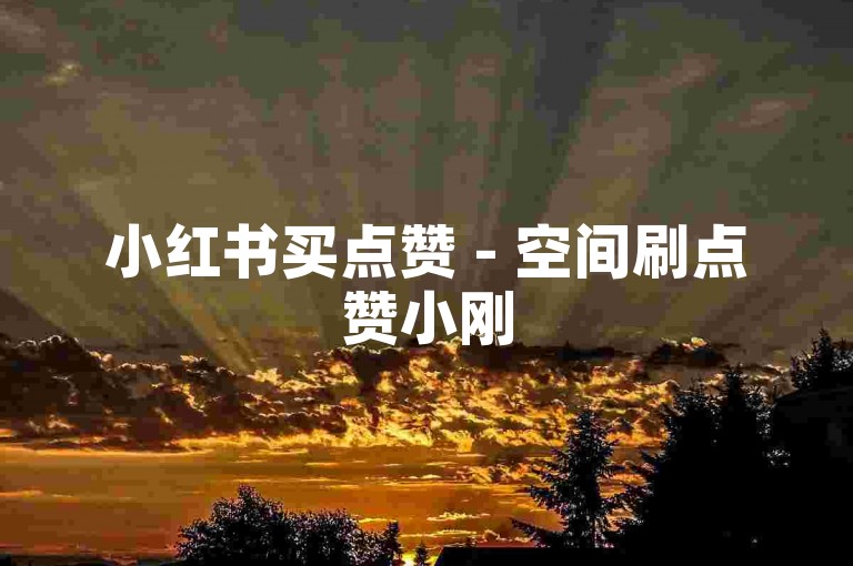 小红书买点赞 - 空间刷点赞小刚