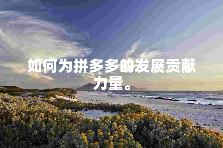 如何为拼多多的发展贡献力量。