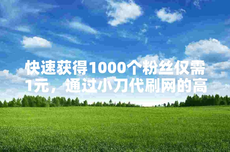 快速获得1000个粉丝仅需1元，通过小刀代刷网的高效软件服务。
