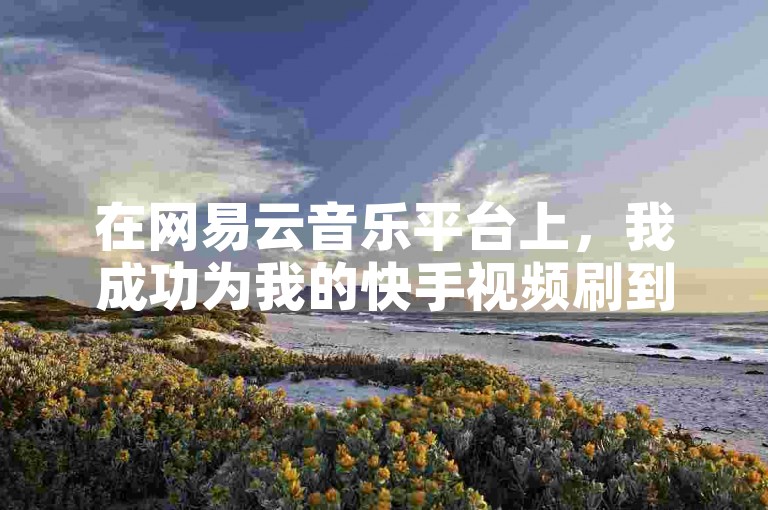 在网易云音乐平台上，我成功为我的快手视频刷到了100个双击。