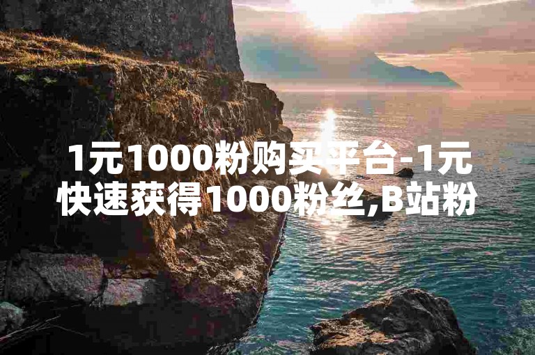 1元1000粉购买平台-1元快速获得1000粉丝,B站粉丝服务