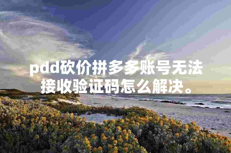 pdd砍价拼多多账号无法接收验证码怎么解决。