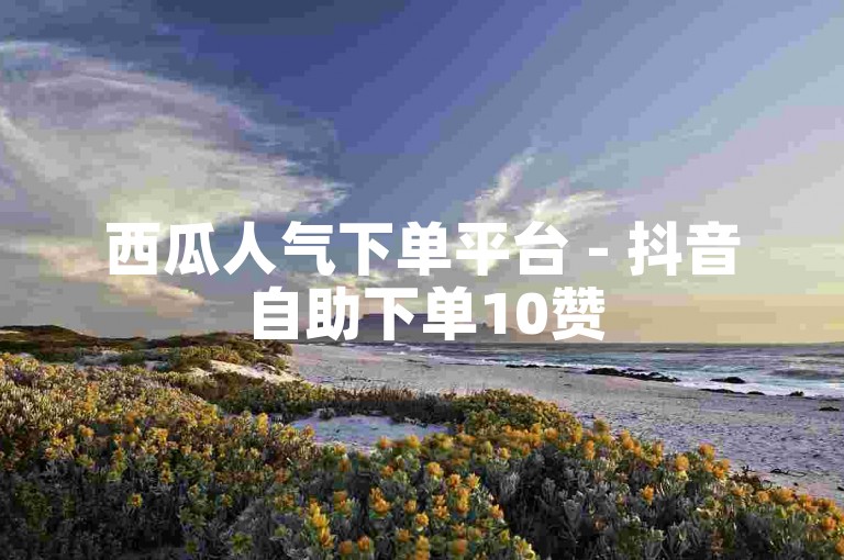 西瓜人气下单平台 - 抖音自助下单10赞