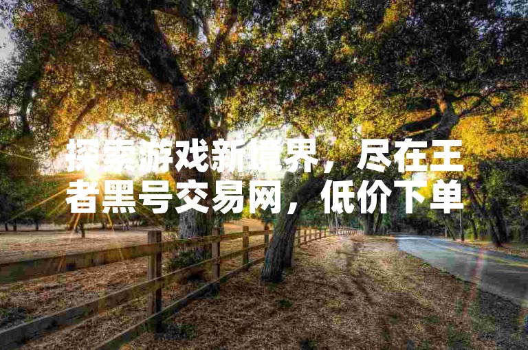 探索游戏新境界，尽在王者黑号交易网，低价下单平台入口直达，畅享游戏乐趣。