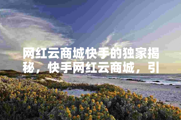 网红云商城快手的独家揭秘，快手网红云商城，引领网红经济新潮流！2025必备