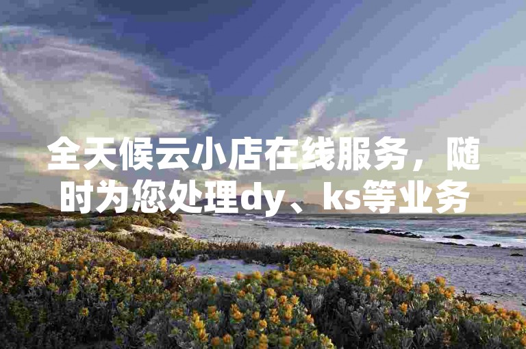 全天候云小店在线服务，随时为您处理dy、ks等业务订单。