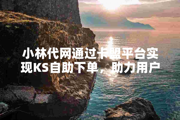 小林代网通过卡盟平台实现KS自助下单，助力用户增长。