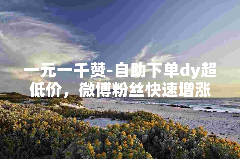 一元一千赞-自助下单dy超低价，微博粉丝快速增涨。