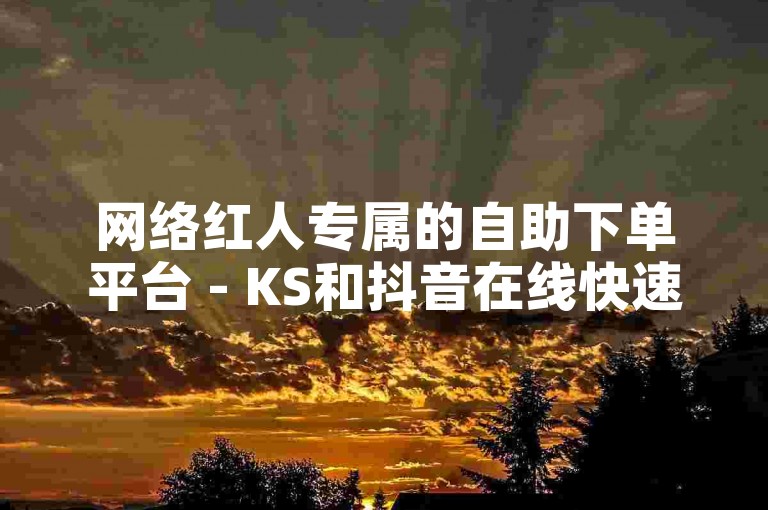 网络红人专属的自助下单平台 - KS和抖音在线快速自助下单服务。