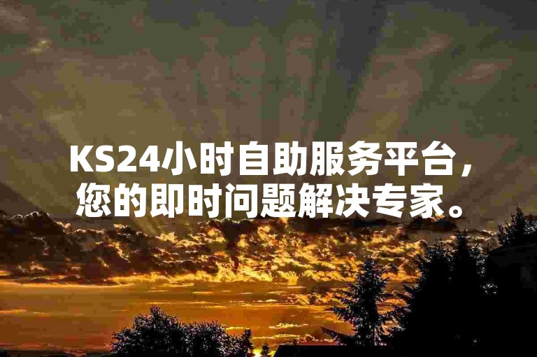 KS24小时自助服务平台，您的即时问题解决专家。