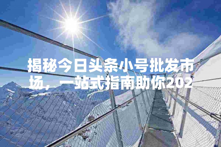 揭秘今日头条小号批发市场，一站式指南助你2025年轻松掌握！