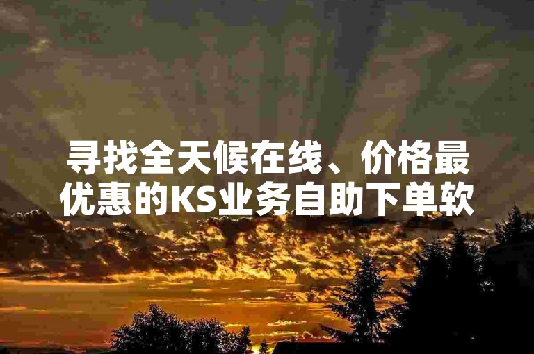 寻找全天候在线、价格最优惠的KS业务自助下单软件平台，有哪些值得推荐的选项？