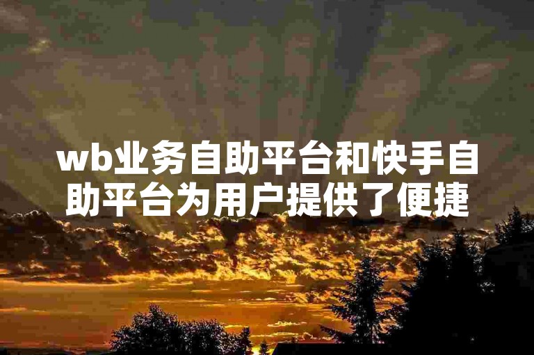 wb业务自助平台和快手自助平台为用户提供了便捷的在线服务体验。