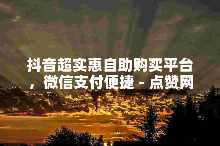 抖音超实惠自助购买平台，微信支付便捷 - 点赞网站助力涨赞。