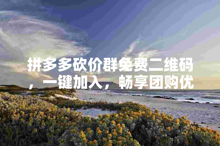 拼多多砍价群免费二维码，一键加入，畅享团购优惠。