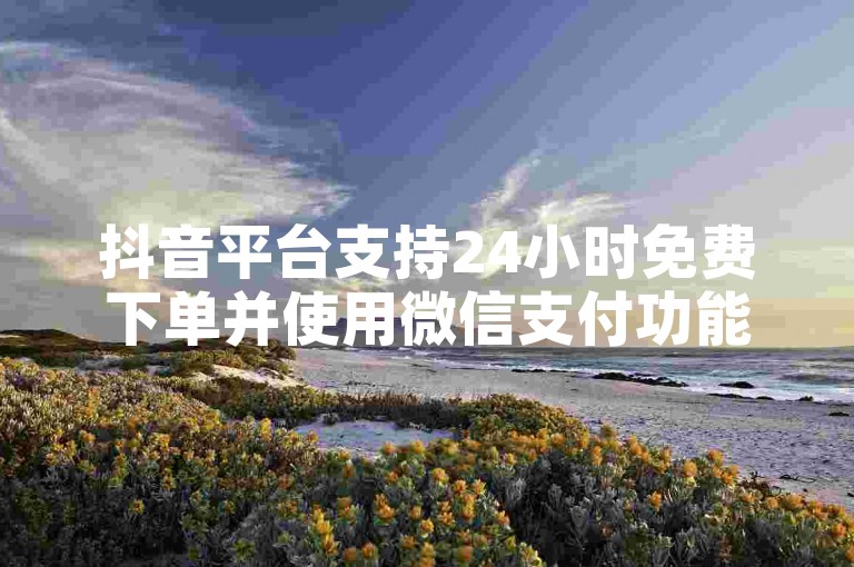 抖音平台支持24小时免费下单并使用微信支付功能，用户可以通过简单的设置步骤轻松完成购买流程。