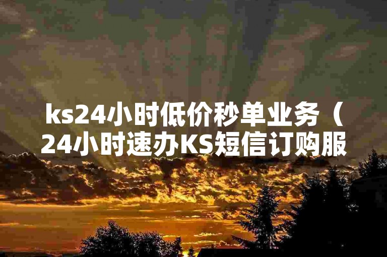 ks24小时低价秒单业务（24小时速办KS短信订购服务）