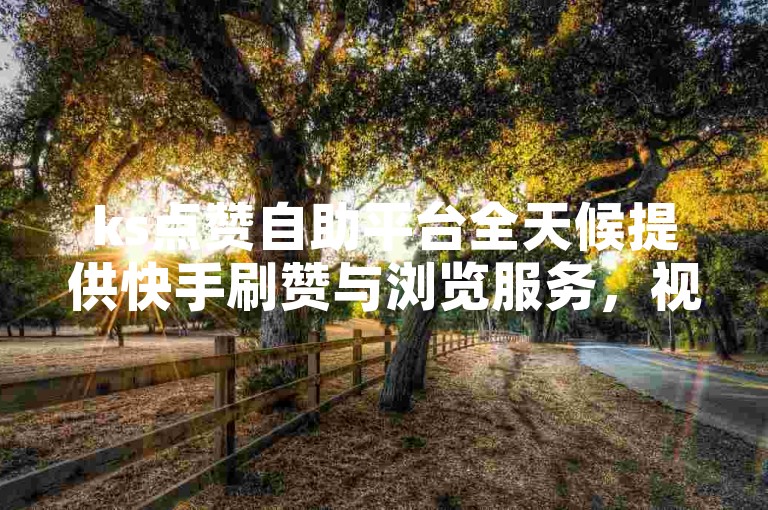 ks点赞自助平台全天候提供快手刷赞与浏览服务，视频号业务下单确保真人操作。